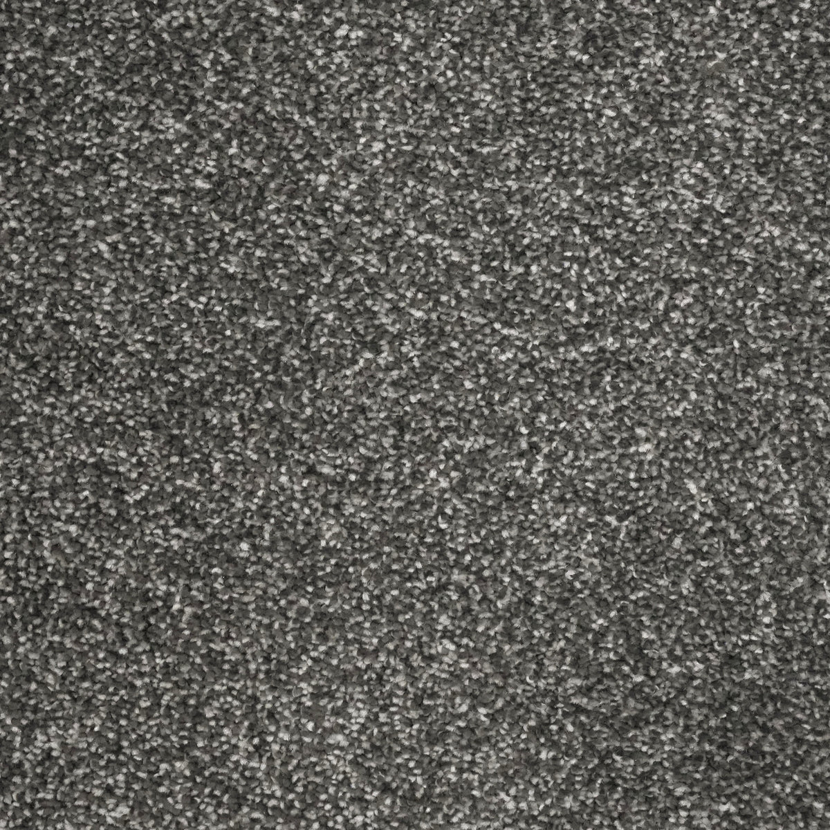 Euphora Ash 7619 Carpet