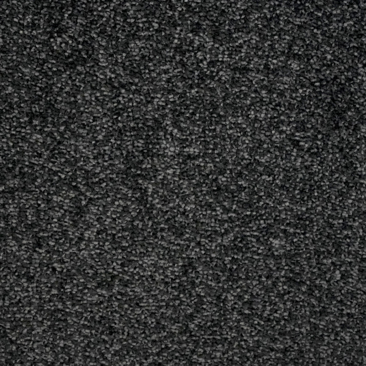 Euphora Smoke 7620 Carpet