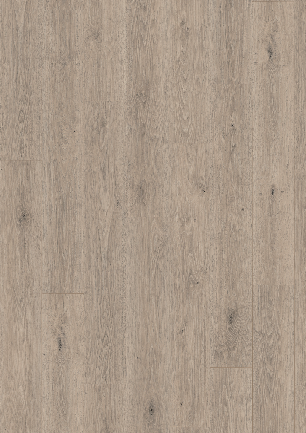 Egger Naturesense Aqua+ 32 Grey Treviso Oak EL2184 8mm Laminate Flooring