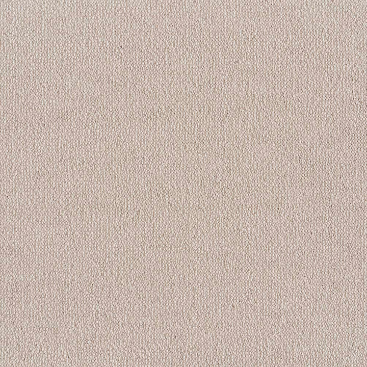 Expectations Gargery Carpet
