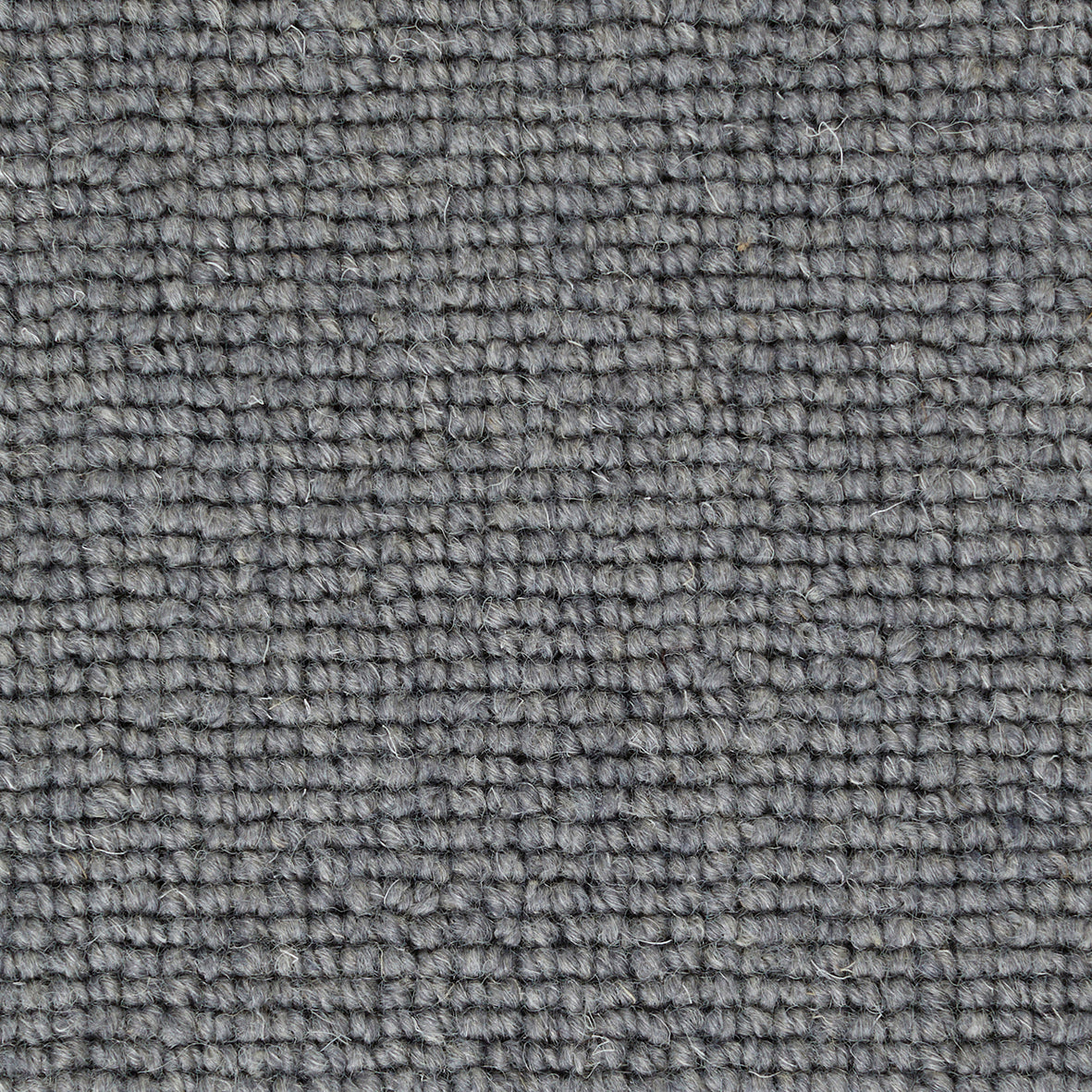 Pickwick Snodgrass Carpet