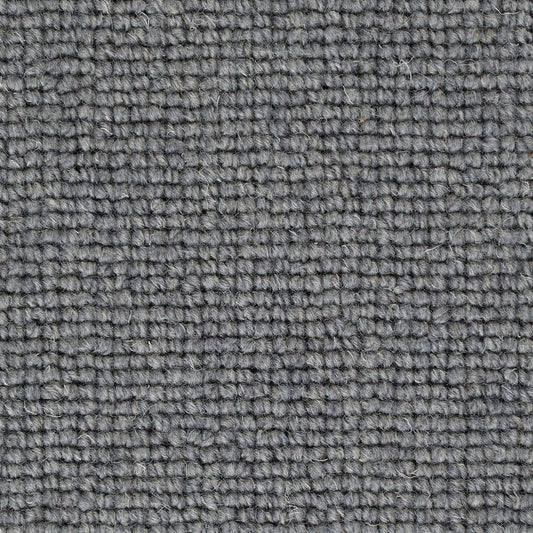Pickwick Snodgrass Carpet