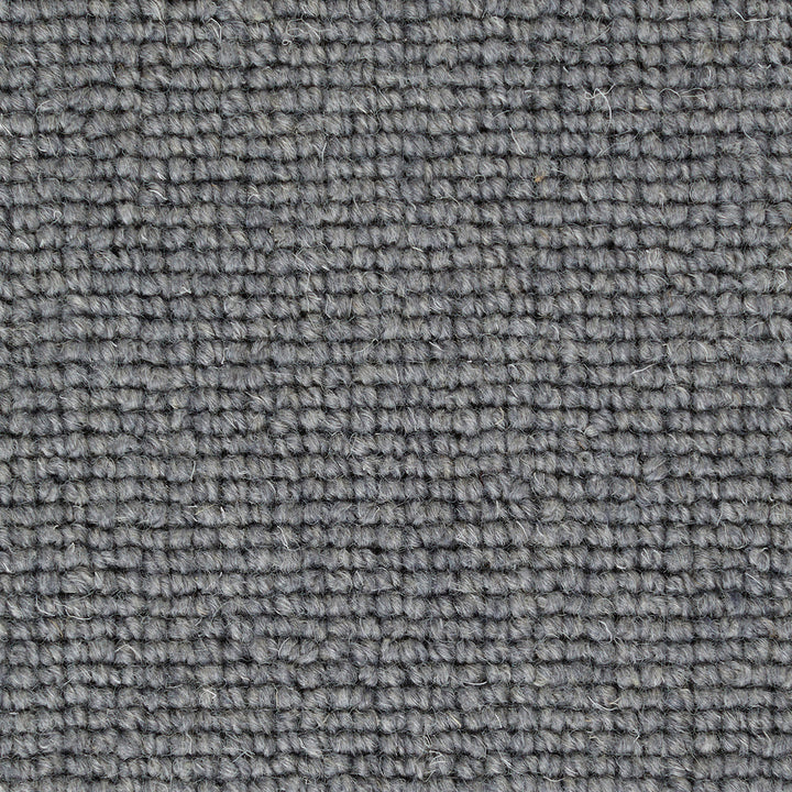 Pickwick Snodgrass Carpet