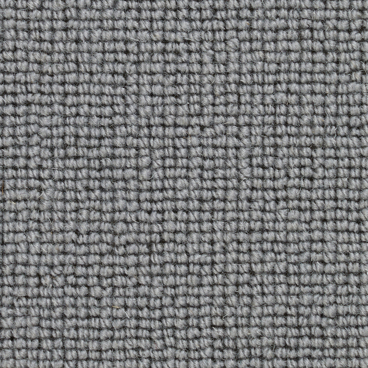 Pickwick Wardle Carpet