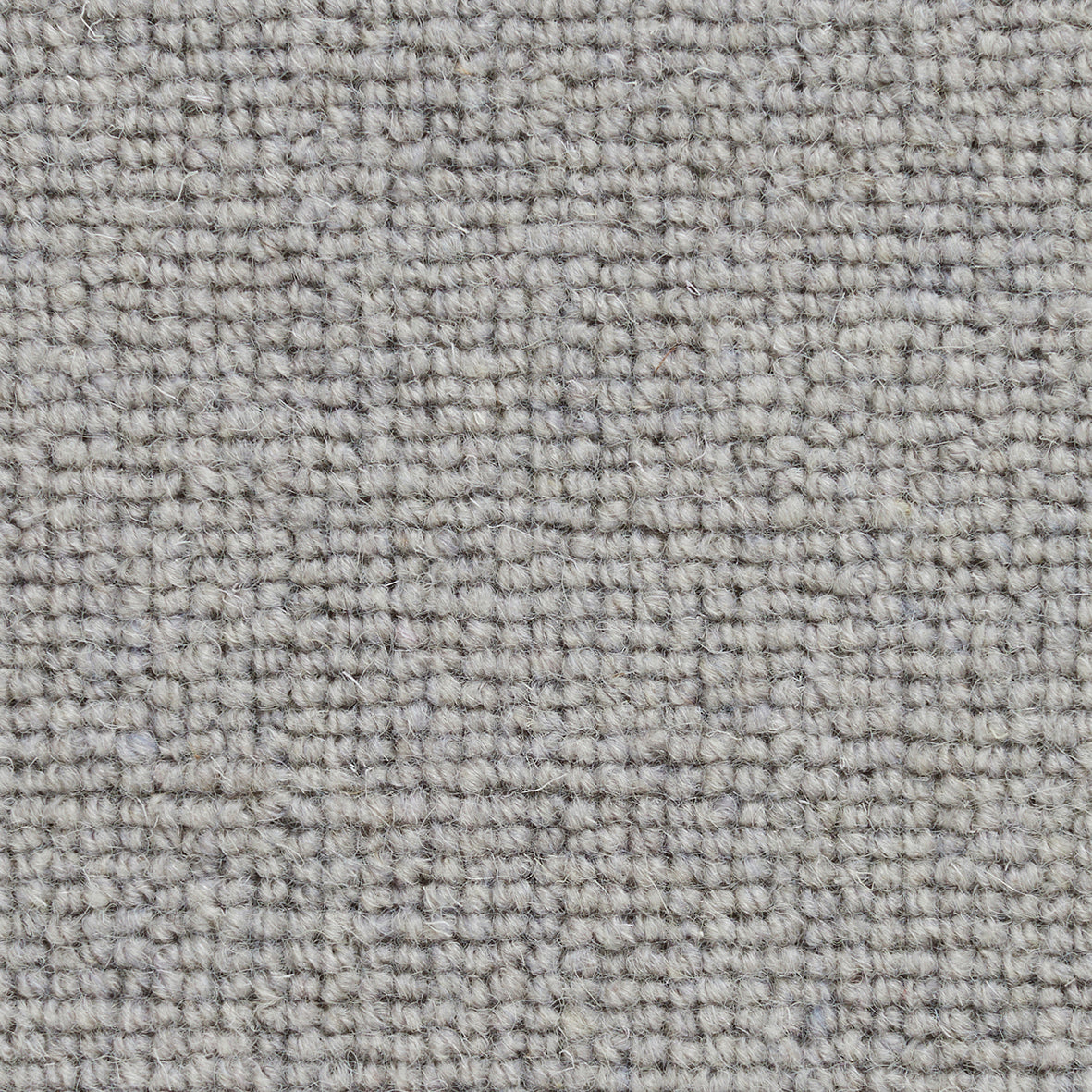 Pickwick Trottor Carpet