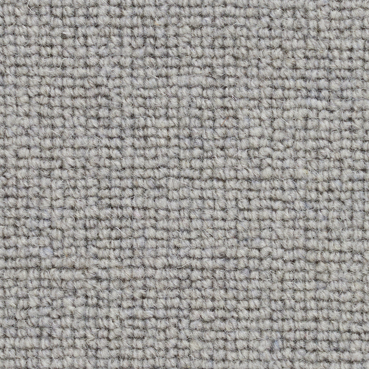 Pickwick Trottor Carpet