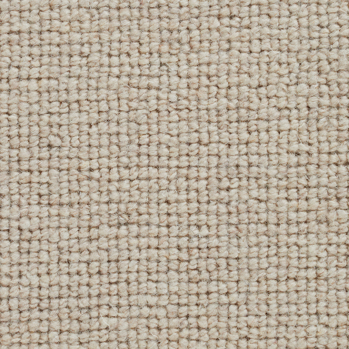 Pickwick Bardell Carpet