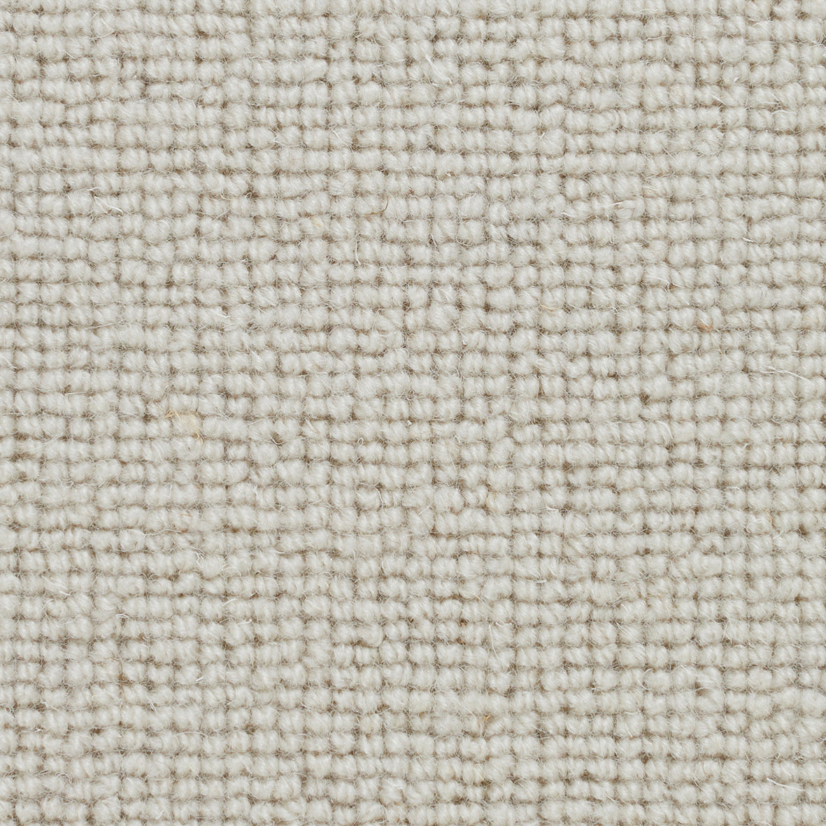Pickwick Alfred Carpet