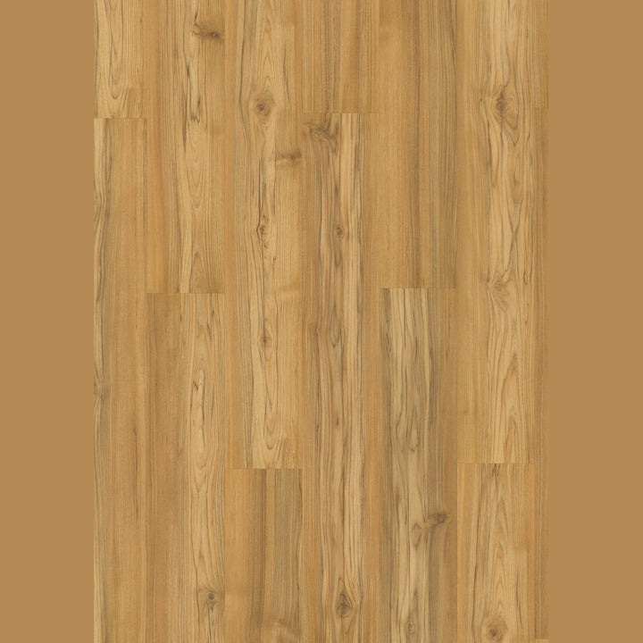 Finfloor Original Tasmanian Teak 18X 8mm Laminate Flooring