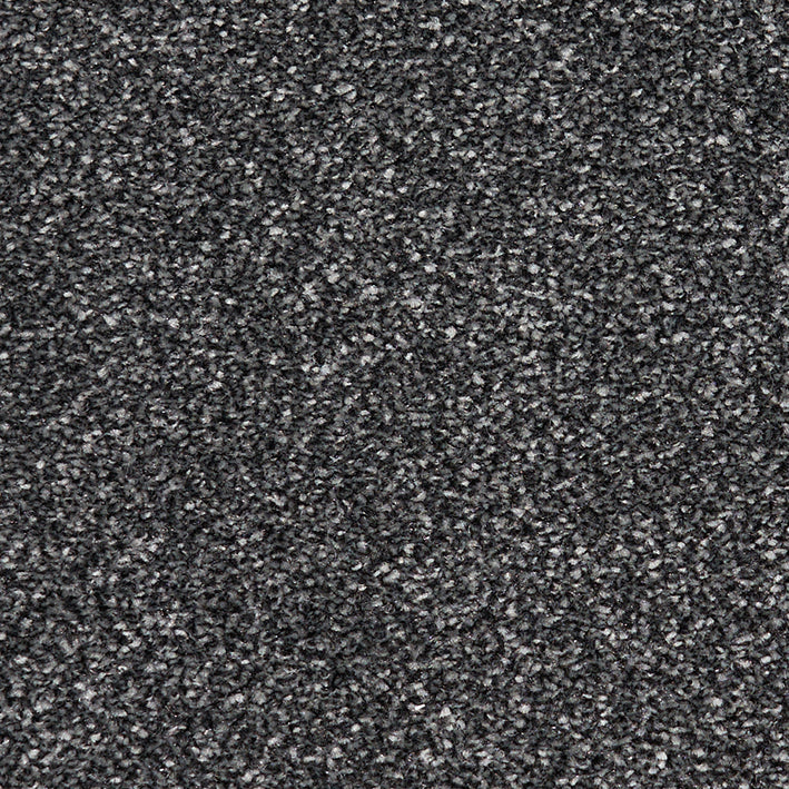 Century Plus Anthracite 656 Carpet
