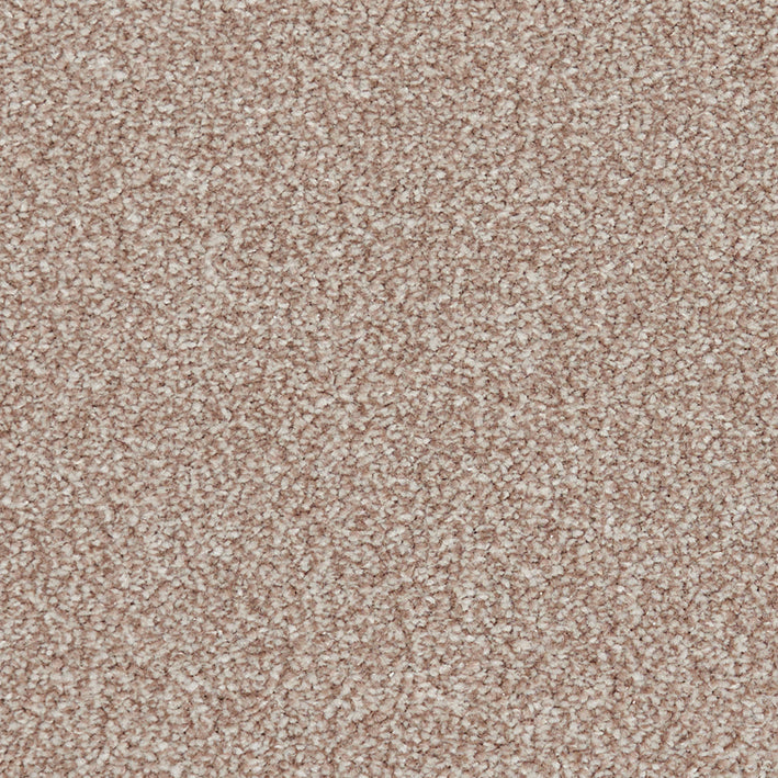 Century Plus Beige 652 Carpet