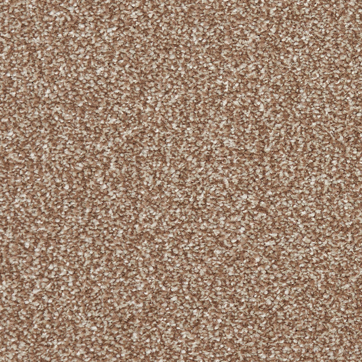 Century Plus Nutmeg 659 Carpet