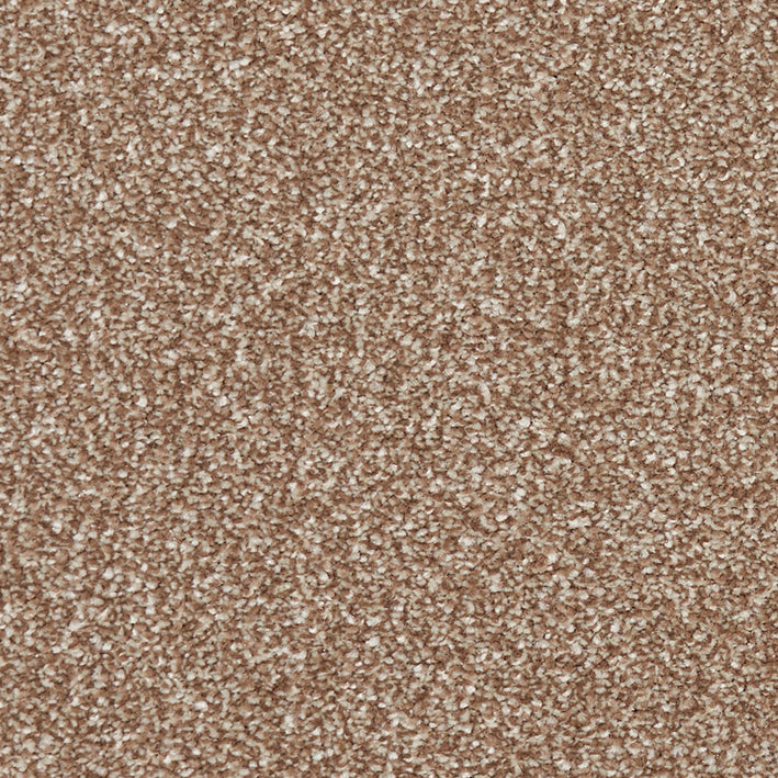 Century Saxony Nutmeg 659 Carpet