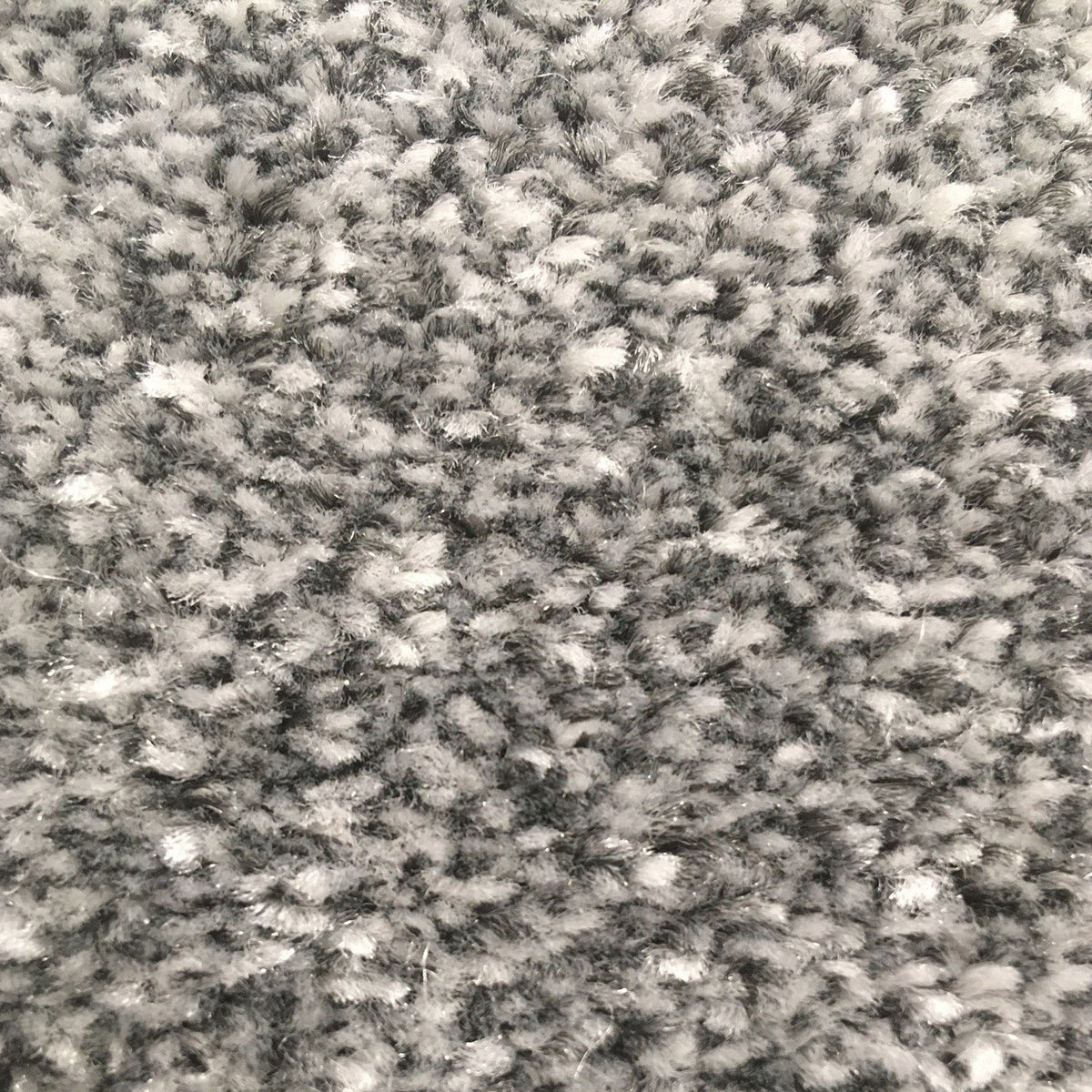 Campello Platinum 654 Carpet