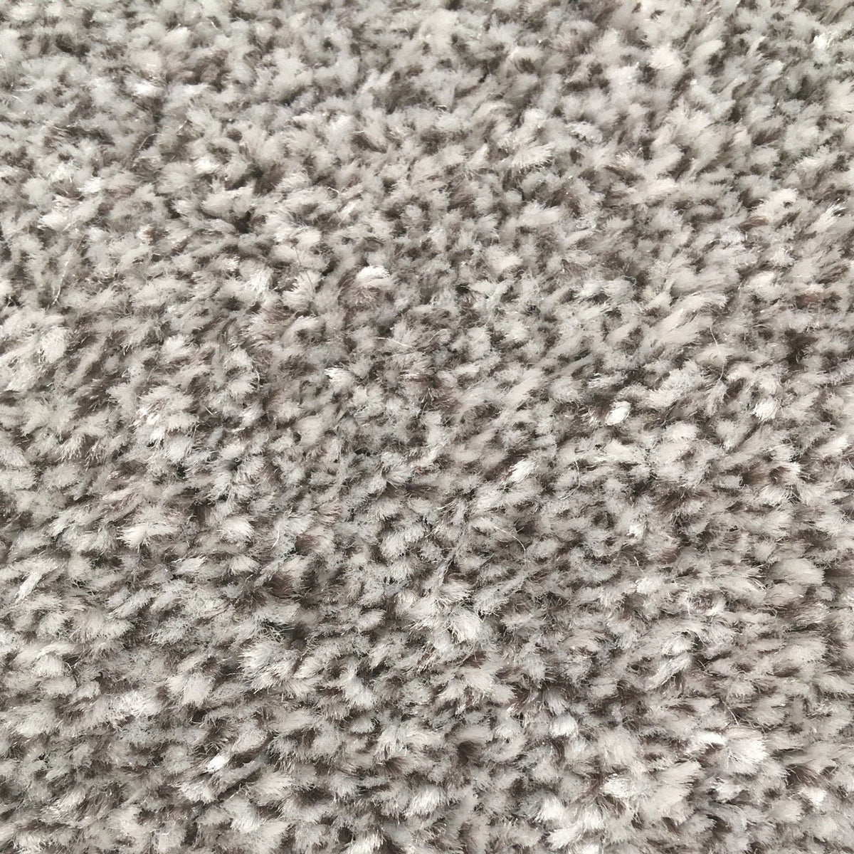 Campello Pepper 666 Carpet