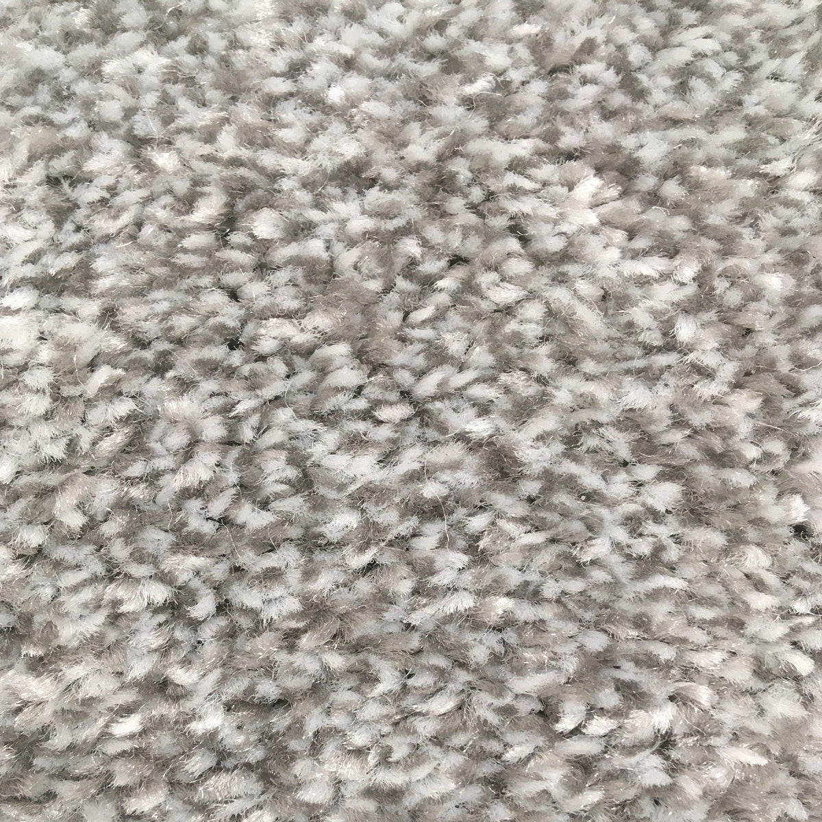 Campello Metal 668 Carpet