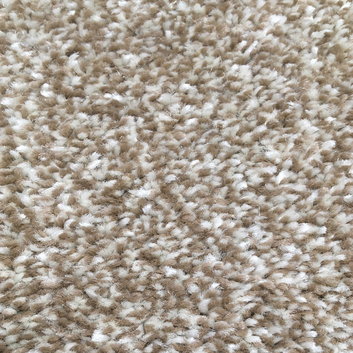 Campello Sahara 659 Carpet
