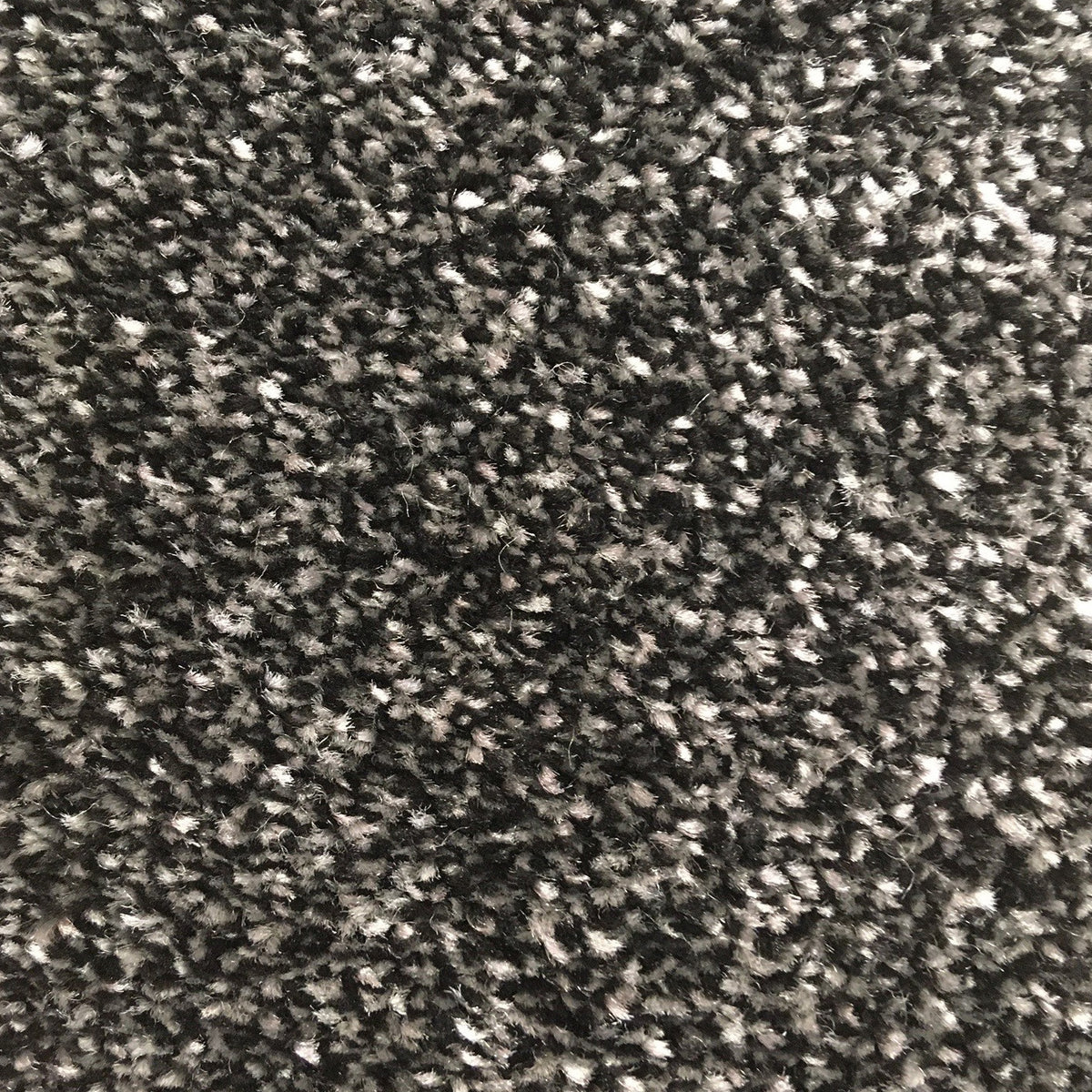 San Jose SB Noir 031 Carpet