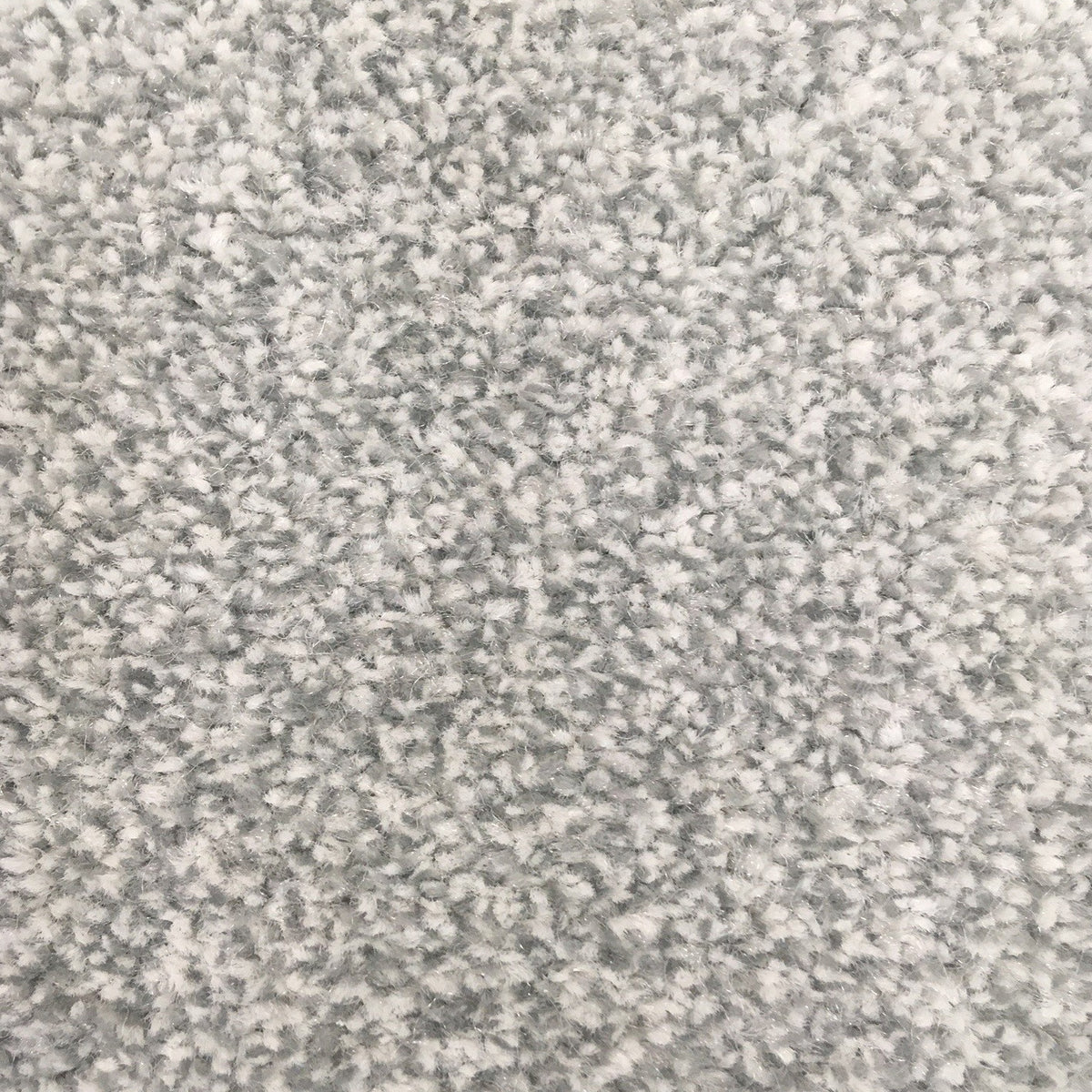 San Jose SB Silver 581 Carpet