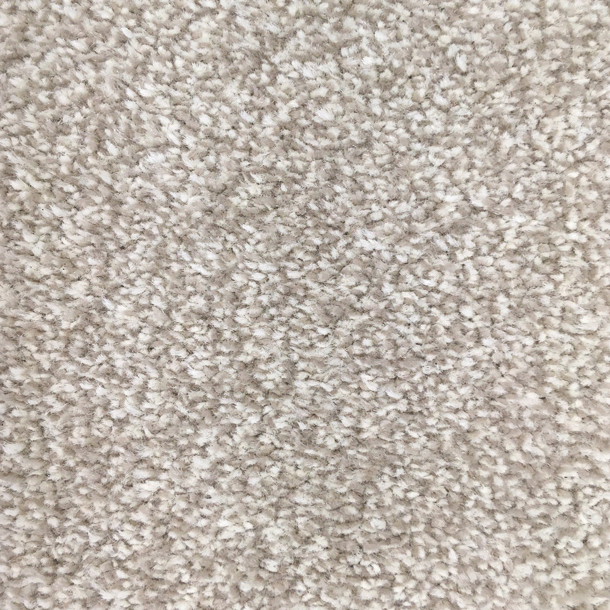San Jose SB Natural 587 Carpet
