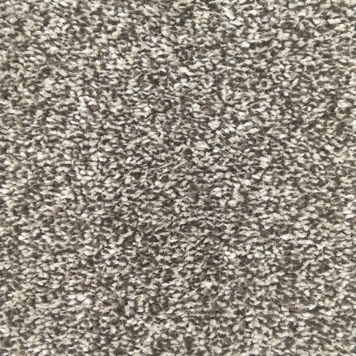 San Jose SB Biscuit 589 Carpet