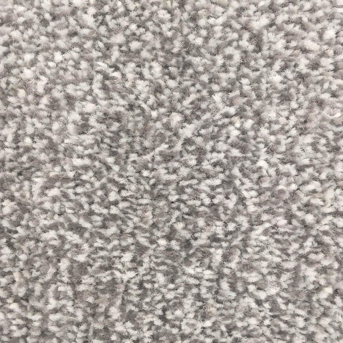 San Jose SB Medal 685 Carpet