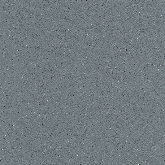 Tarasafe Standard Storm WR0919 7773 Commercial Flooring