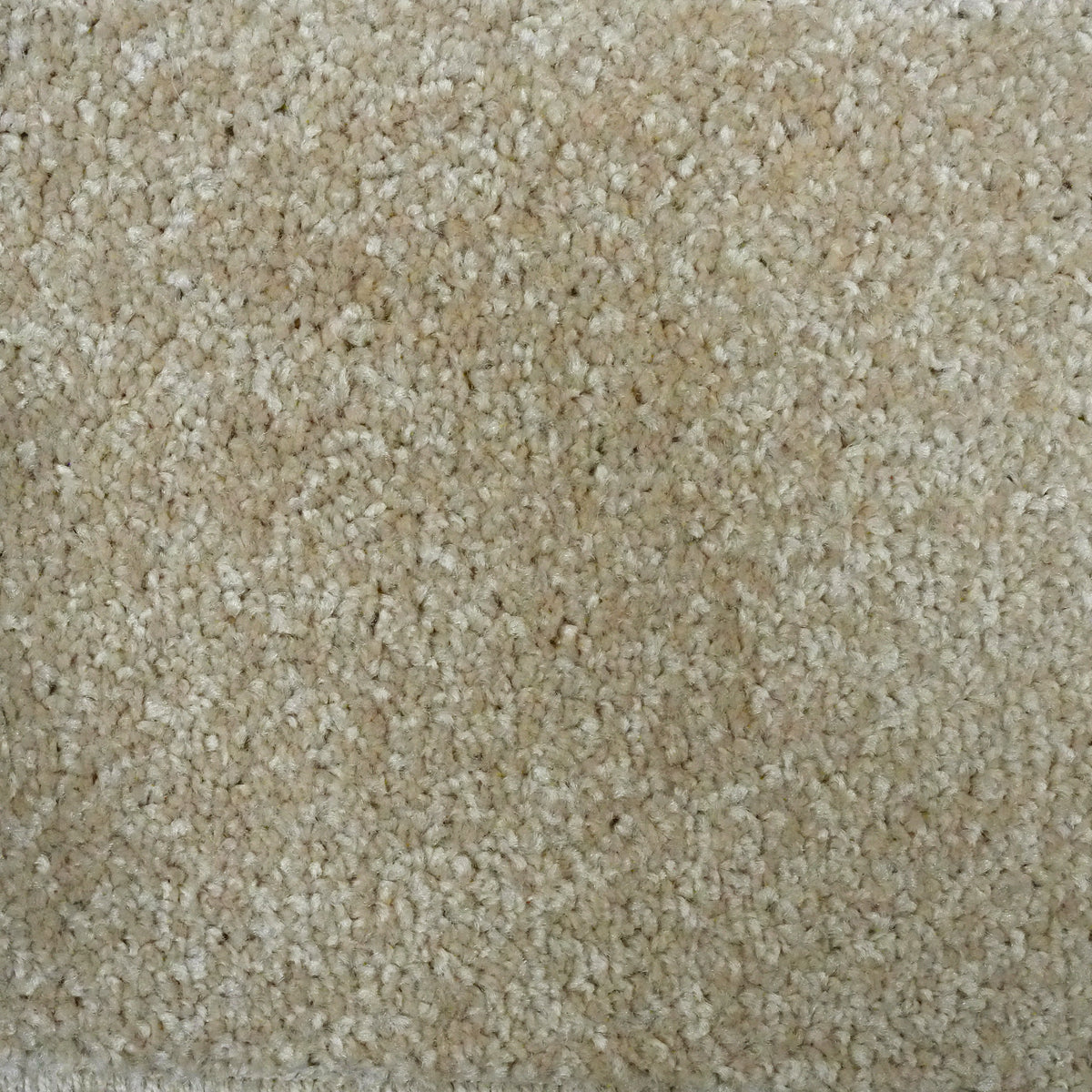 Goldfinch Fawn Carpet