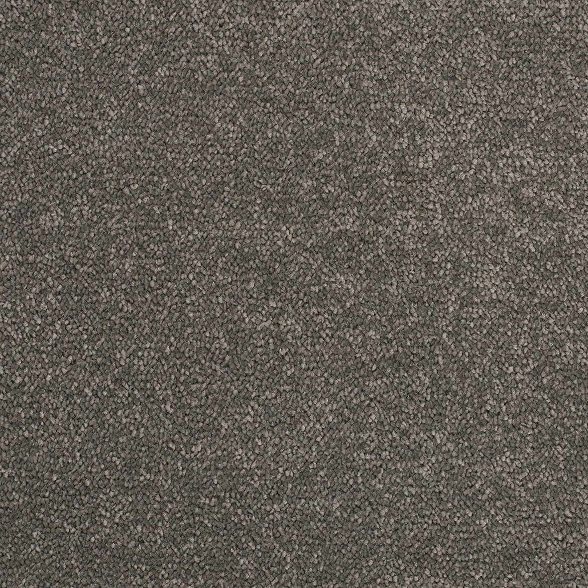 Opulent Shades Beluga Carpet