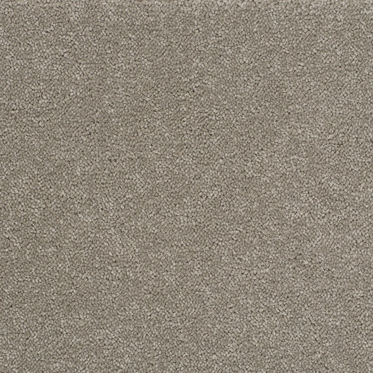 Opulent Shades Dubbonet Carpet