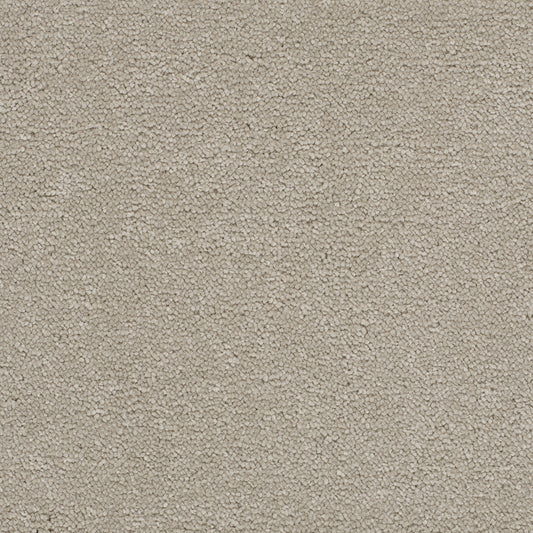 Opulent Shades Dove Carpet