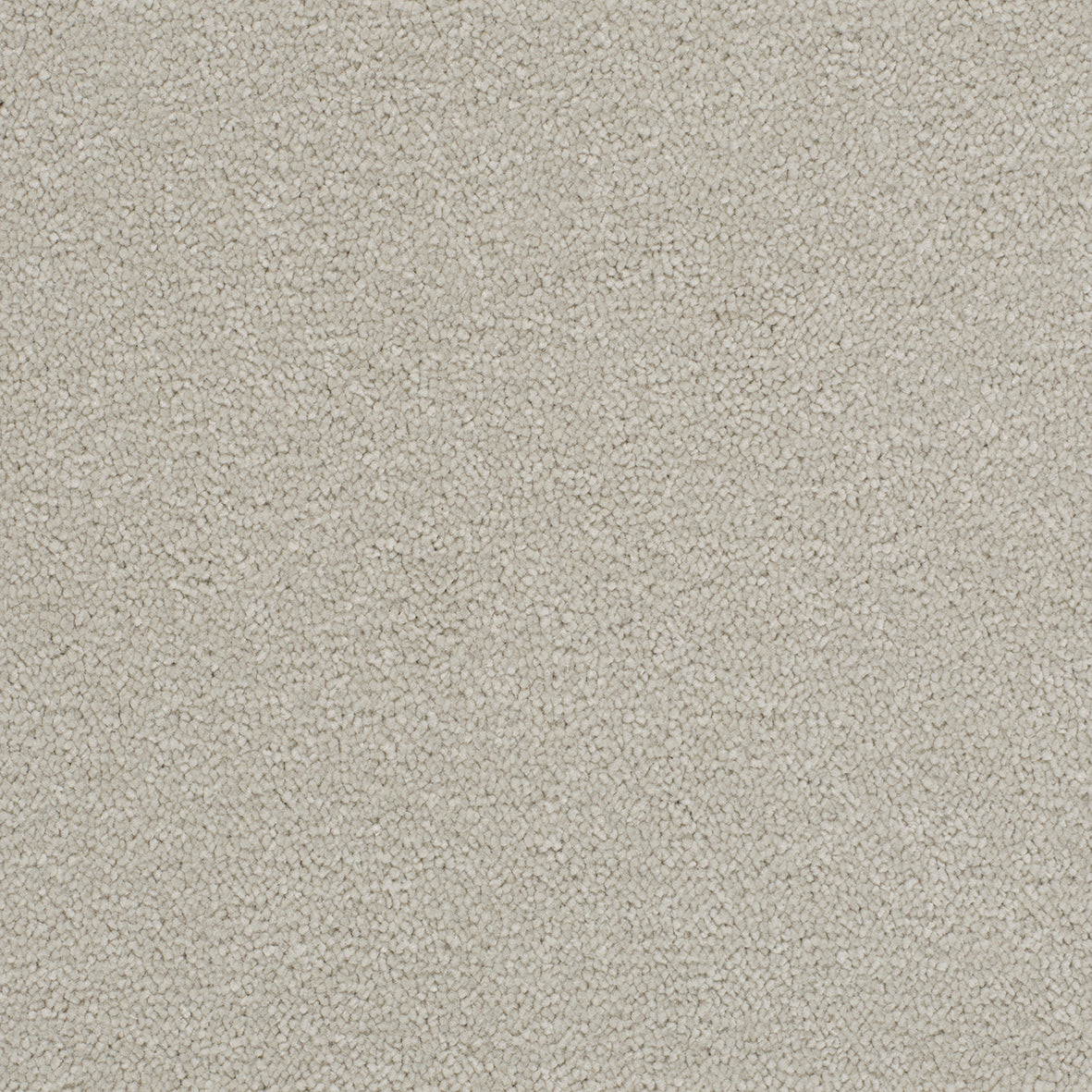 Opulent Shades Snow Carpet