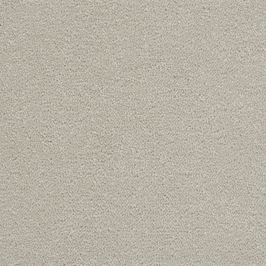 Opulent Shades Snow Carpet