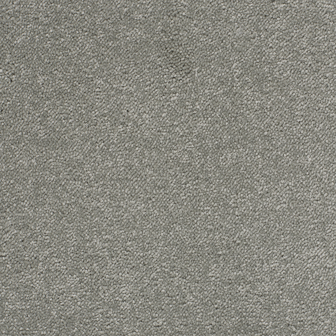 Opulent Shades Chen Carpet