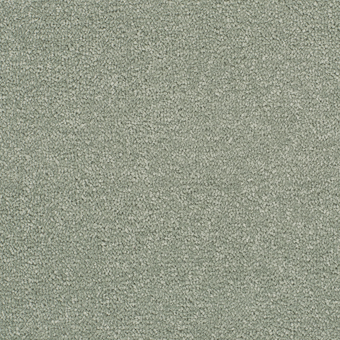 Opulent Shades Olive Carpet