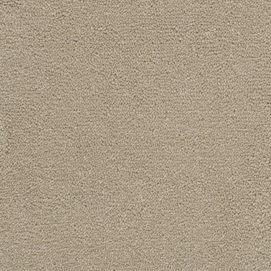 Opulent Shades Bellini Carpet