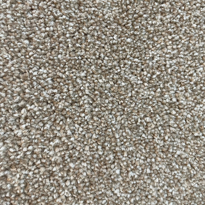 Adelaide Belair 408 Carpet