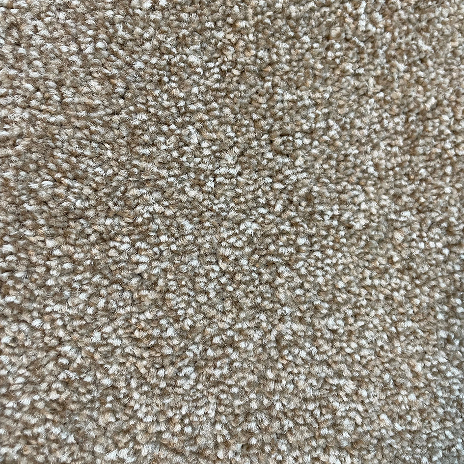 Adelaide Rymill 423 Carpet