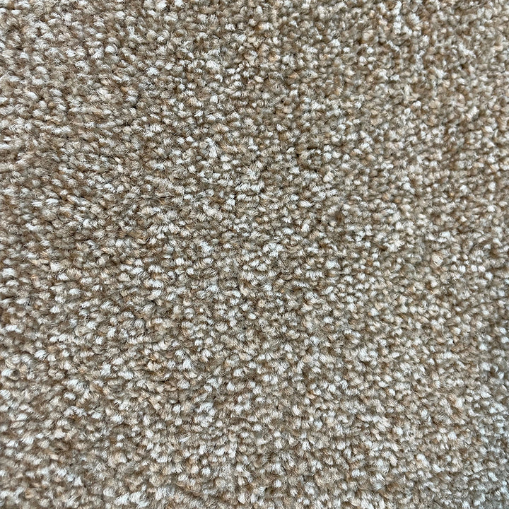 Adelaide Rymill 423 Carpet