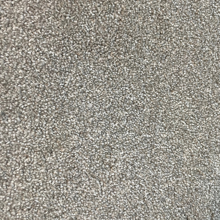 Adelaide Glenside 244 Carpet