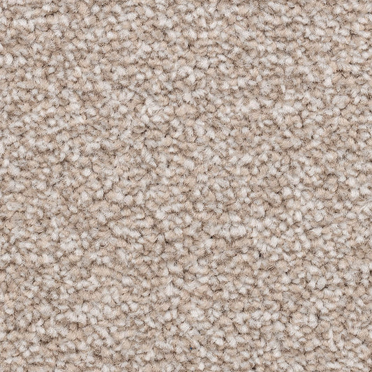 Ventnor Super Botanic Carpet