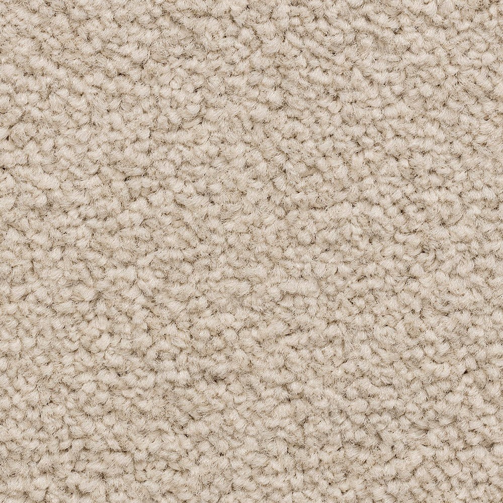 Freshwater Classic Fudge 169 Carpet