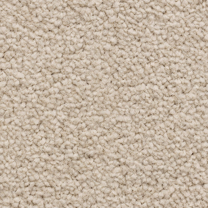 Ventnor Super Winter Garden Carpet