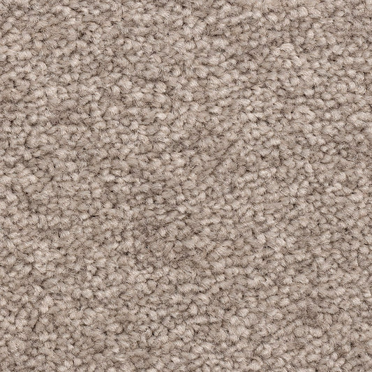 Ventnor Super Seven Sisters Carpet
