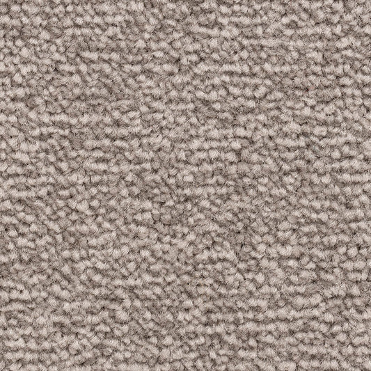 Ventnor Super Pepper Pot Carpet