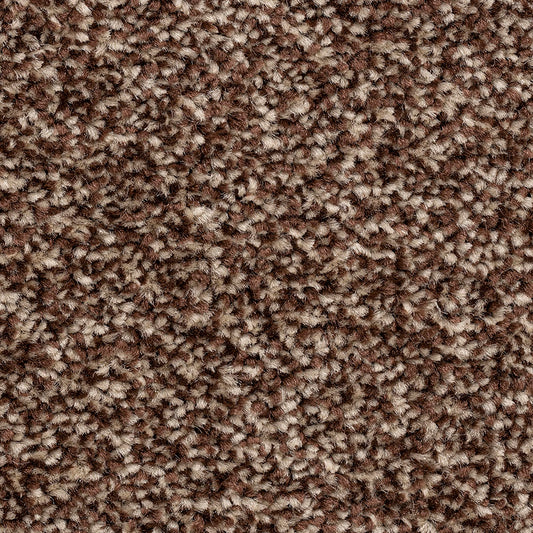 Ventnor Super Orchard Carpet