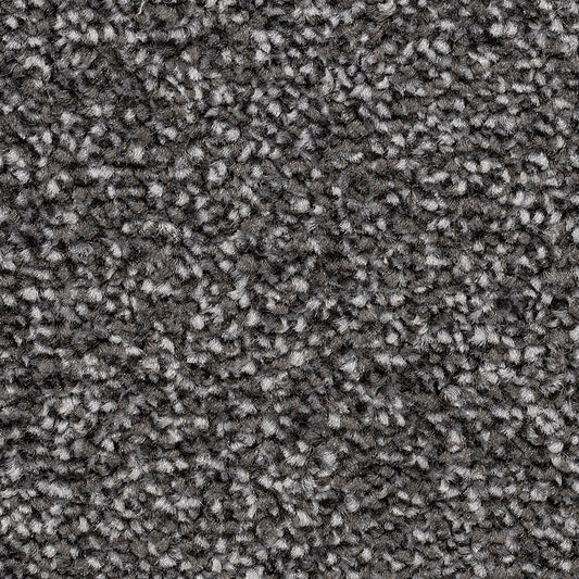 Ventnor Super Blackgang Carpet