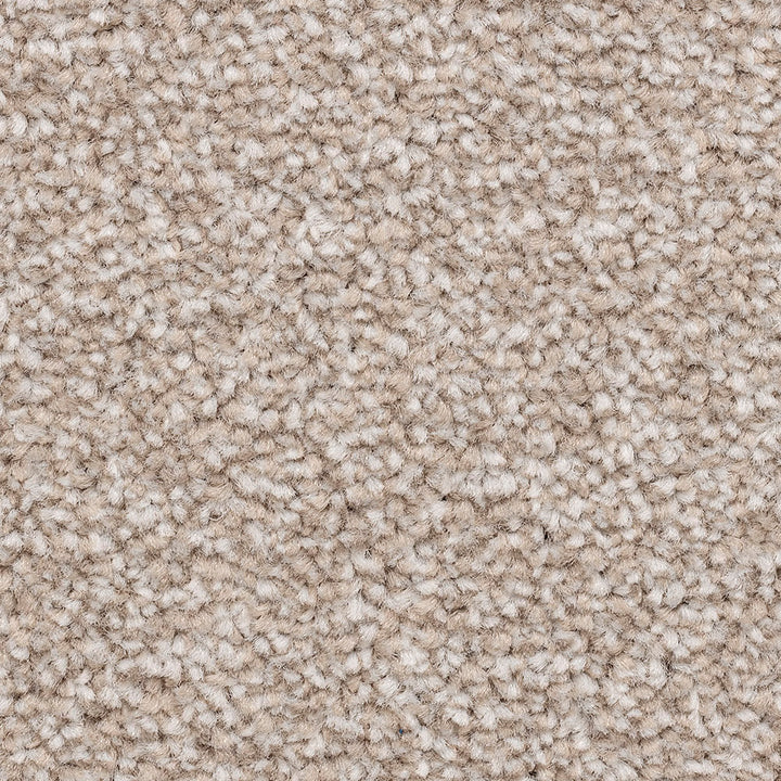 Ventnor Luxury Botanic Carpet