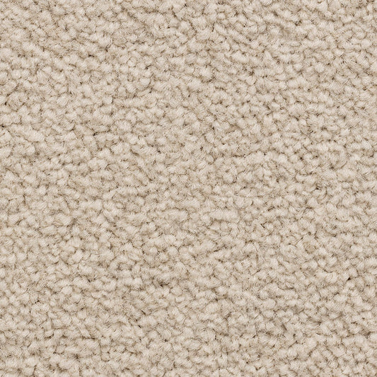 Ventnor Luxury Winter Garden Carpet