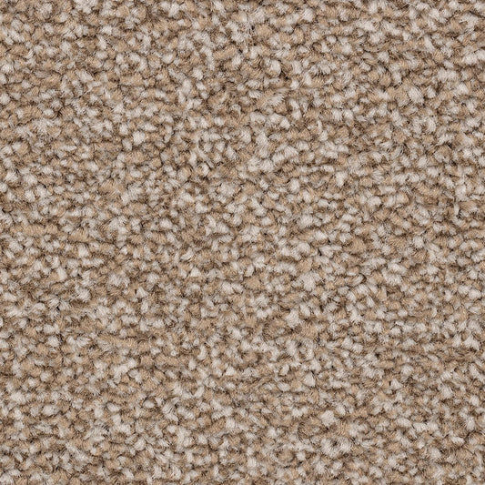 Ventnor Luxury Shingle Carpet
